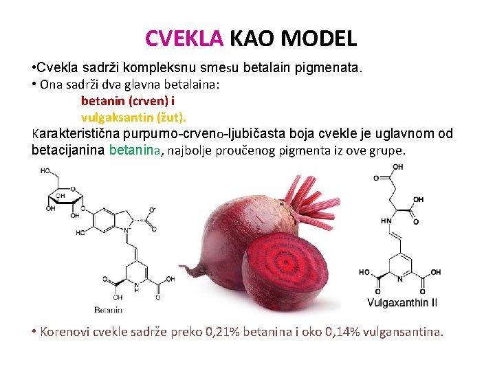 CVEKLA KAO MODEL • Cvekla sadrži kompleksnu smesu betalain pigmenata. • Ona sadrži dva