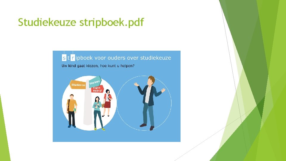 Studiekeuze stripboek. pdf 