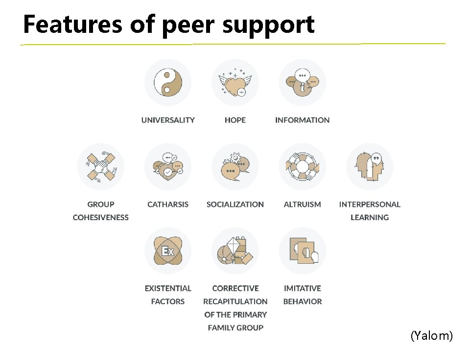 Features of peer support (Yalom) 