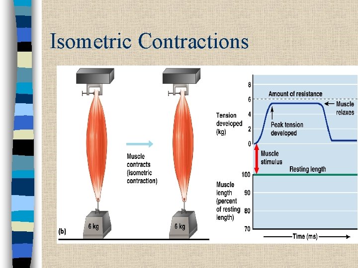 Isometric Contractions 