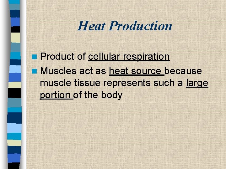 Heat Production n Product of cellular respiration n Muscles act as heat source because
