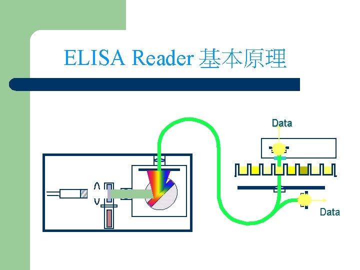 ELISA Reader 基本原理 Data 