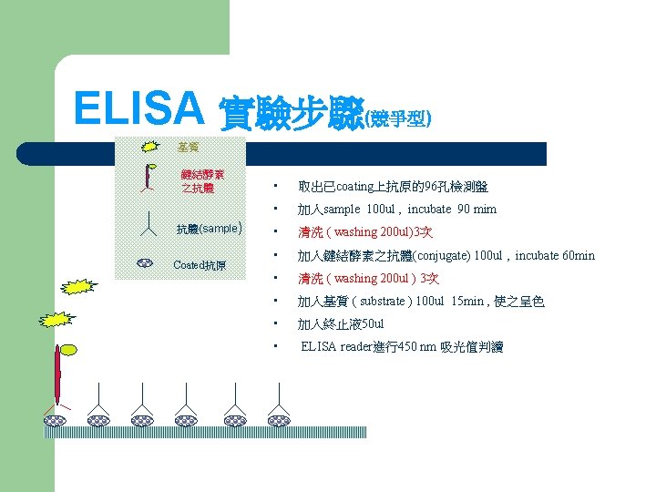 ELISA 實驗步驟 (競爭型) 基質 鏈結酵素 之抗體 抗體(sample) Coated抗原 • 取出已coating上抗原的96孔檢測盤 • 加入sample 100 ul