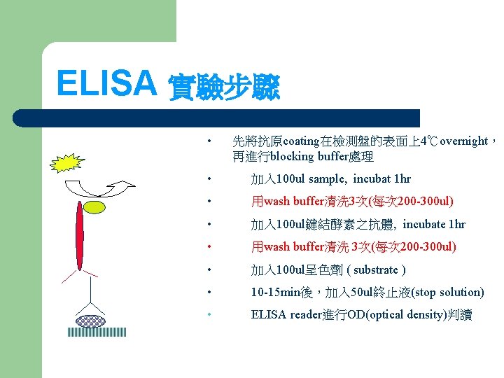 ELISA 實驗步驟 • 先將抗原coating在檢測盤的表面上4℃overnight， 再進行blocking buffer處理 • 加入 100 ul sample, incubat 1 hr