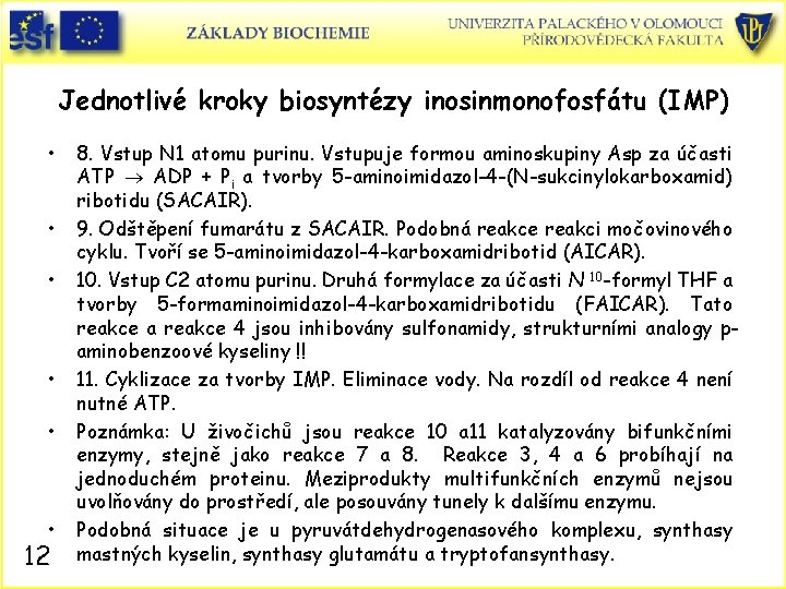 Jednotlivé kroky biosyntézy inosinmonofosfátu (IMP) • • • 12 8. Vstup N 1 atomu