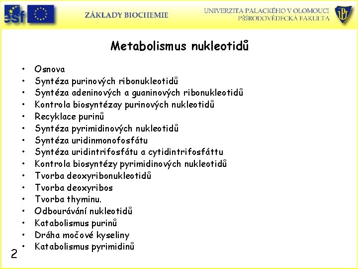 Metabolismus nukleotidů 2 • • • • Osnova Syntéza purinových ribonukleotidů Syntéza adeninových a
