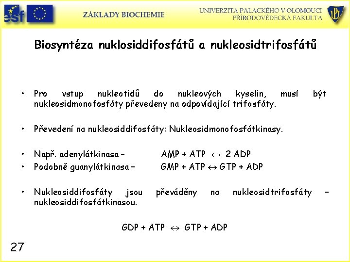 Biosyntéza nuklosiddifosfátů a nukleosidtrifosfátů • Pro vstup nukleotidů do nukleových kyselin, musí nukleosidmonofosfáty převedeny