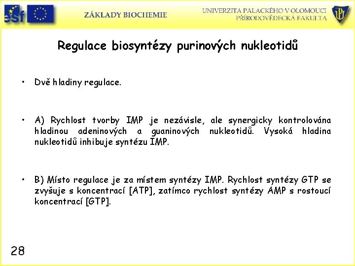 Regulace biosyntézy purinových nukleotidů • Dvě hladiny regulace. • A) Rychlost tvorby IMP je