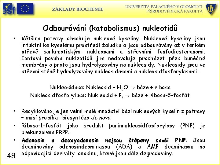 Odbourávání (katabolismus) nukleotidů • Většina potravy obsahuje nukleové kyseliny. Nukleové kyseliny jsou intaktní ke