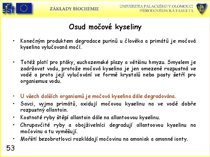 Osud močové kyseliny • Konečným produktem degradace purinů u člověka a primátů je močová