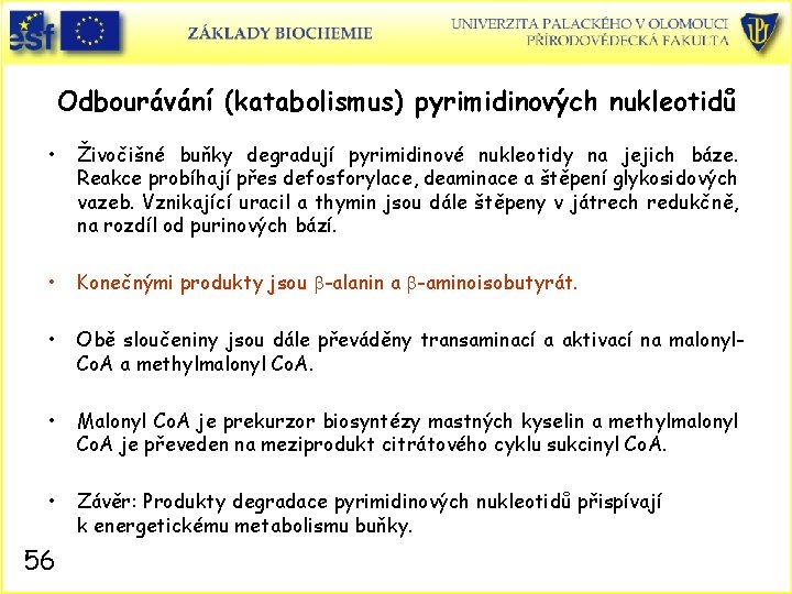 Odbourávání (katabolismus) pyrimidinových nukleotidů • Živočišné buňky degradují pyrimidinové nukleotidy na jejich báze. Reakce