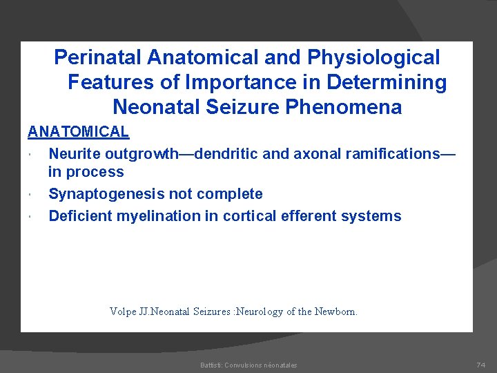 Perinatal Anatomical and Physiological Features of Importance in Determining Neonatal Seizure Phenomena ANATOMICAL Neurite