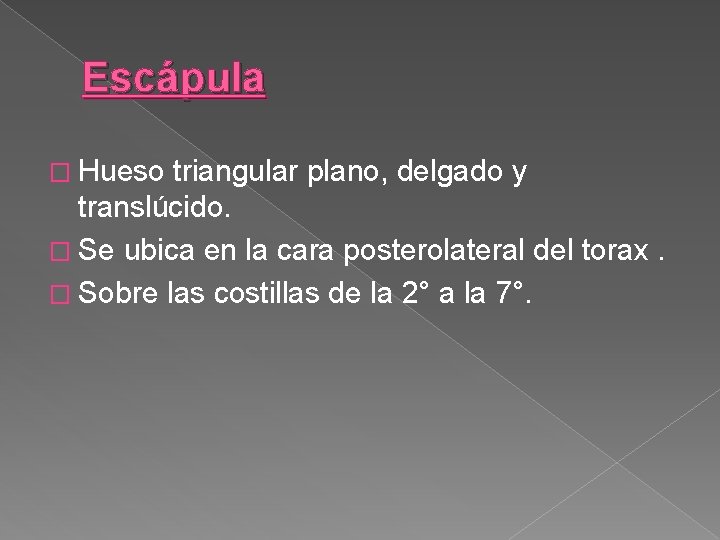 Escápula � Hueso triangular plano, delgado y translúcido. � Se ubica en la cara