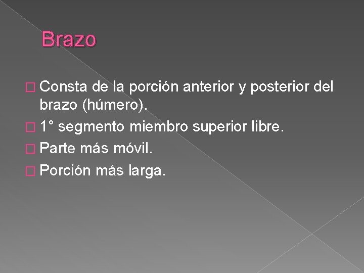 Brazo � Consta de la porción anterior y posterior del brazo (húmero). � 1°