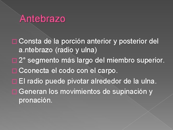 Antebrazo � Consta de la porción anterior y posterior del a. ntebrazo (radio y