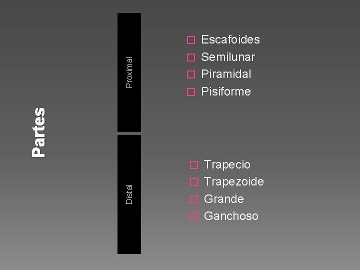 Escafoides � Semilunar � Piramidal � Pisiforme Partes Proximal � Trapecio � Trapezoide �