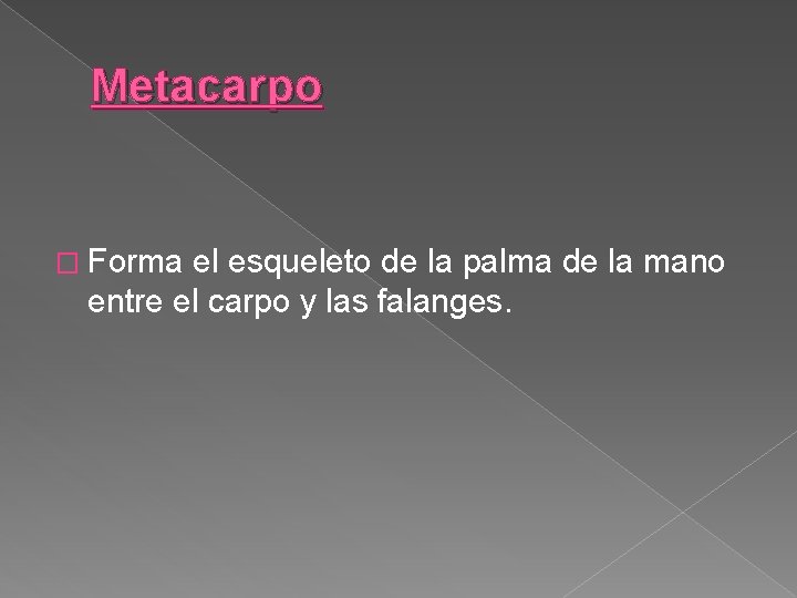 Metacarpo � Forma el esqueleto de la palma de la mano entre el carpo