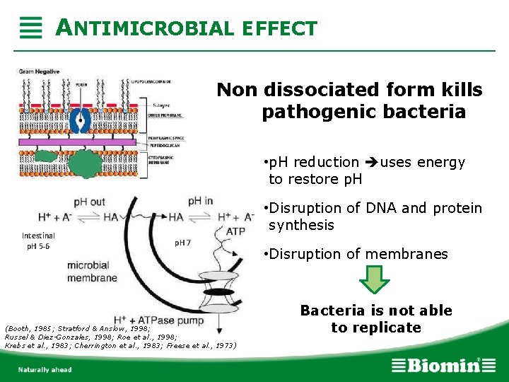 ANTIMICROBIAL EFFECT Non dissociated form kills pathogenic bacteria • p. H reduction uses energy