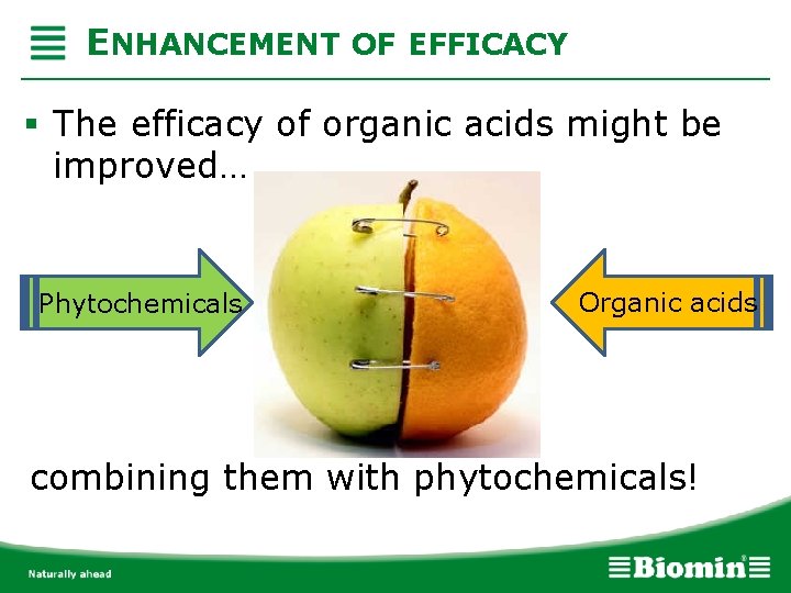 ENHANCEMENT OF EFFICACY § The efficacy of organic acids might be improved… Phytochemicals Organic