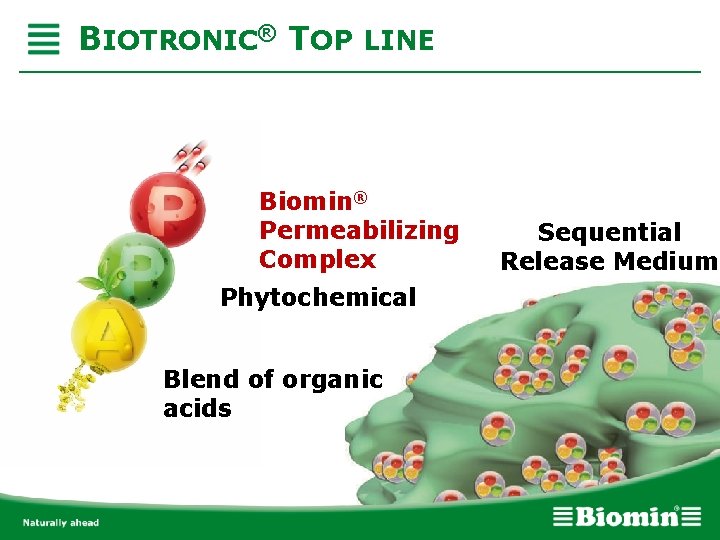 BIOTRONIC® TOP LINE Biomin® Permeabilizing Complex Phytochemical Blend of organic acids Sequential Release Medium