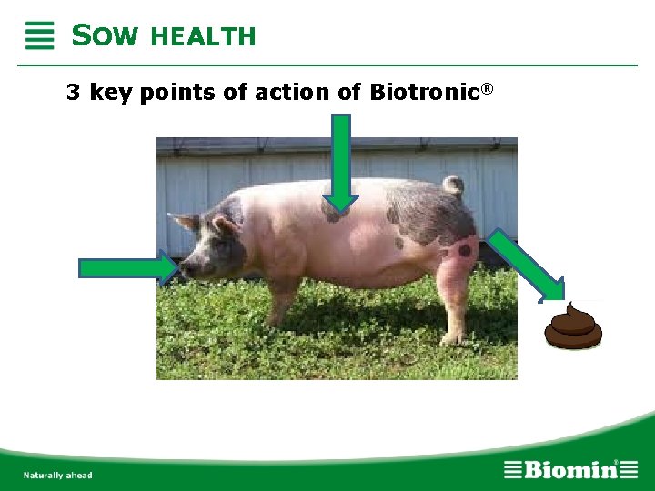 SOW HEALTH 3 key points of action of Biotronic® 