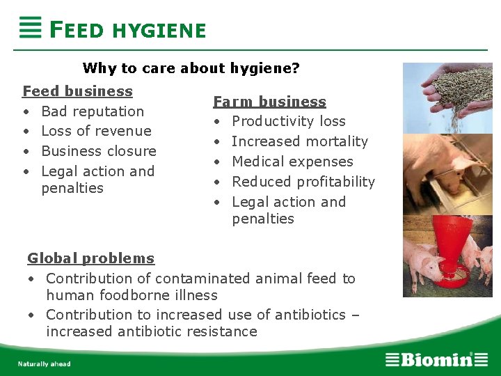 FEED HYGIENE Why to care about hygiene? Feed business • Bad reputation • Loss