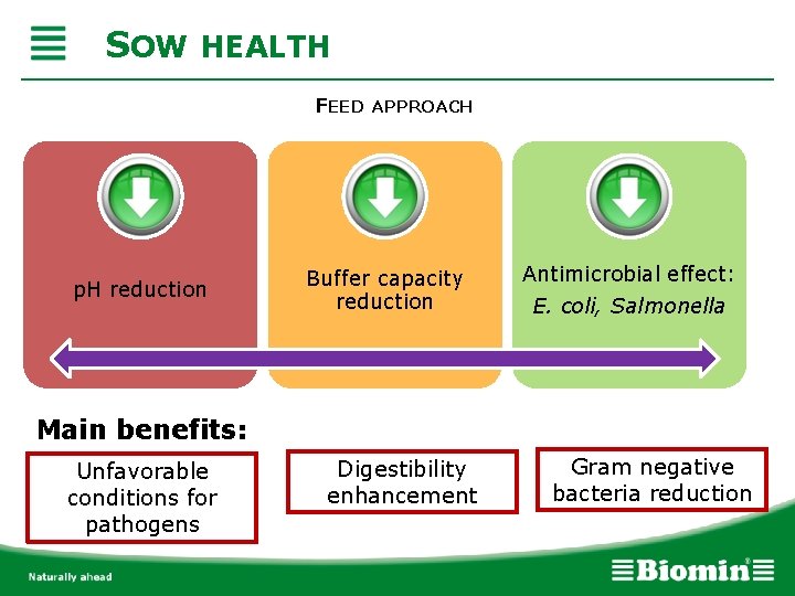 SOW HEALTH FEED APPROACH p. H reduction Buffer capacity reduction Antimicrobial effect: E. coli,