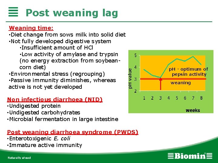 Weaning time: • Diet change from sows milk into solid diet • Not fully