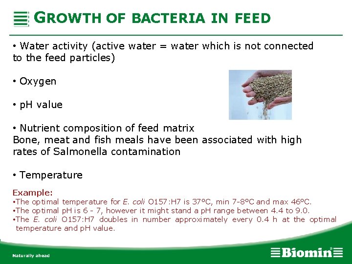 GROWTH OF BACTERIA IN FEED • Water activity (active water = water which is
