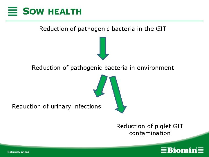 SOW HEALTH Reduction of pathogenic bacteria in the GIT Reduction of pathogenic bacteria in