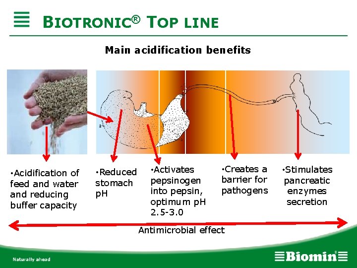 BIOTRONIC® TOP LINE Main acidification benefits • Acidification of feed and water and reducing