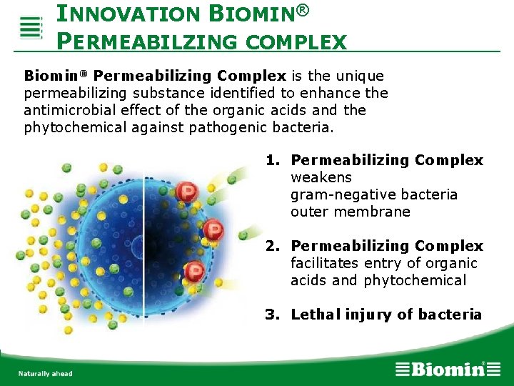 INNOVATION BIOMIN® PERMEABILZING COMPLEX Biomin® Permeabilizing Complex is the unique permeabilizing substance identified to