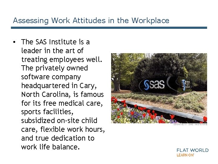Assessing Work Attitudes in the Workplace • The SAS Institute is a leader in