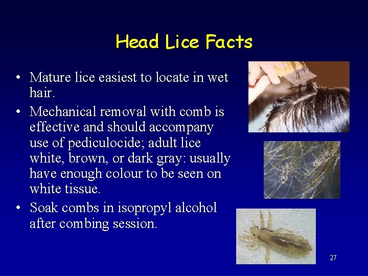 Head Lice Facts • Mature lice easiest to locate in wet hair. • Mechanical