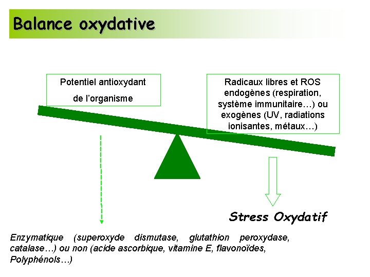 Balance oxydative Potentiel antioxydant de l’organisme Radicaux libres et ROS endogènes (respiration, système immunitaire…)