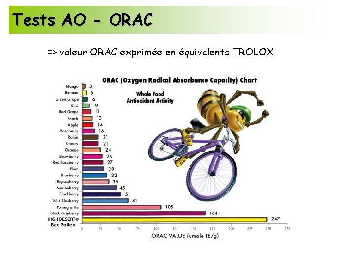 Tests AO - ORAC => valeur ORAC exprimée en équivalents TROLOX 