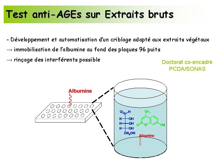 Test anti-AGEs sur Extraits bruts - Développement et automatisation d’un criblage adapté aux extraits