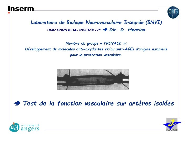 Laboratoire de Biologie Neurovasculaire Intégrée (BNVI) UMR CNRS 6214 / INSERM 771 Dir. D.