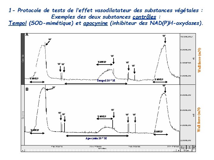 1 - Protocole de tests de l’effet vasodilatateur des substances végétales : Exemples deux