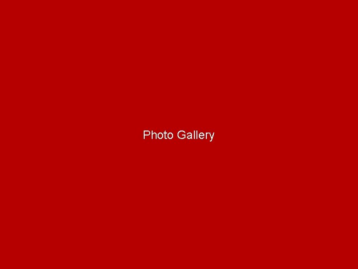 Photo Gallery 