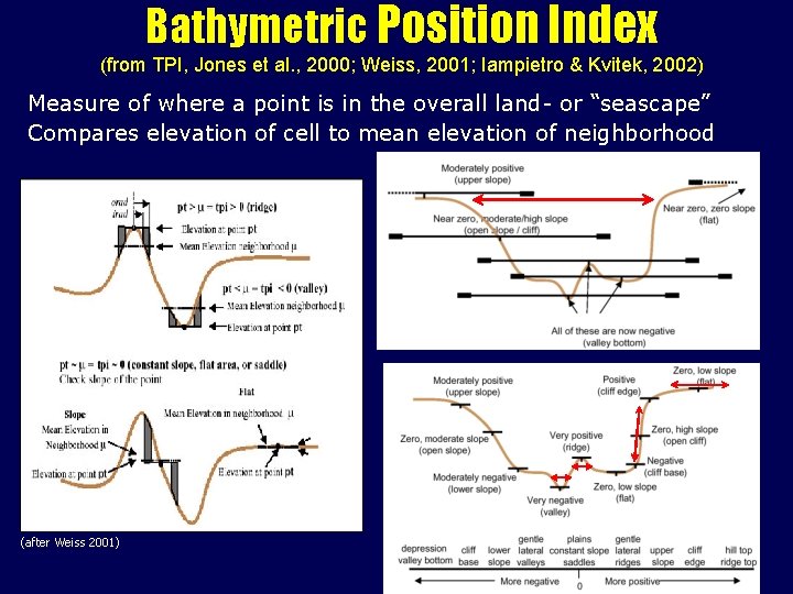 Bathymetric Position Index (from TPI, Jones et al. , 2000; Weiss, 2001; Iampietro &