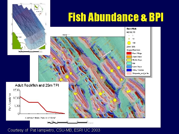 Fish Abundance & BPI Courtesy of Pat Iampietro, CSU-MB, ESRI UC 2003 