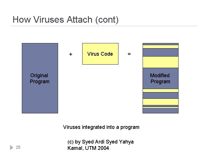 How Viruses Attach (cont) + Virus Code = Original Program Modified Program Viruses integrated