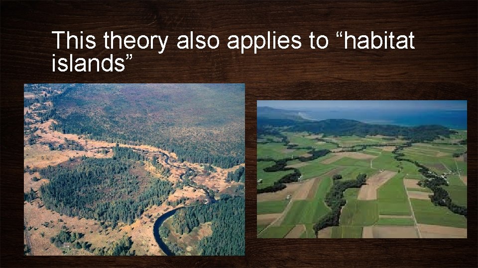 This theory also applies to “habitat islands” 