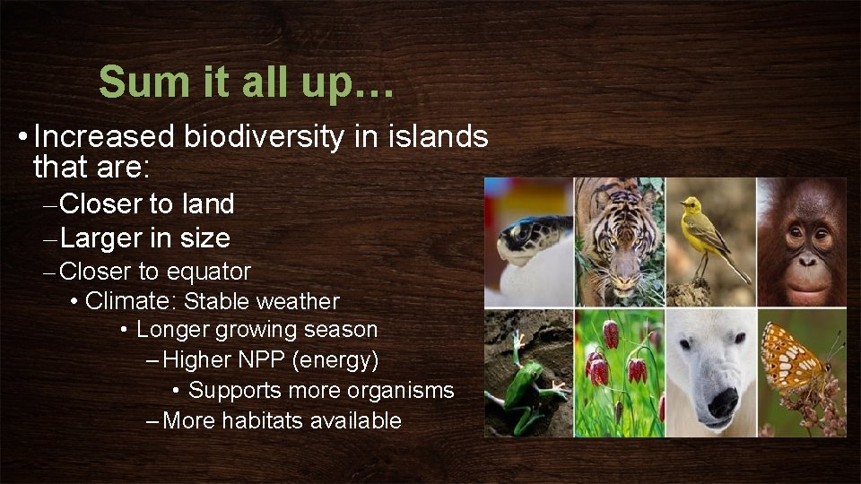 Sum it all up… • Increased biodiversity in islands that are: – Closer to