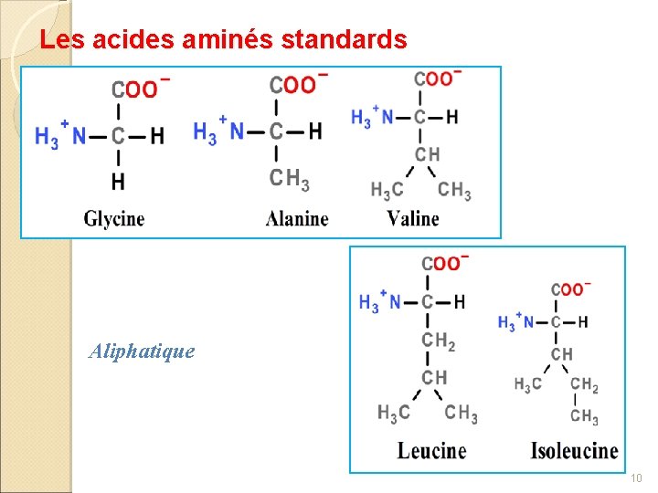 Les acides aminés standards Aliphatique 10 