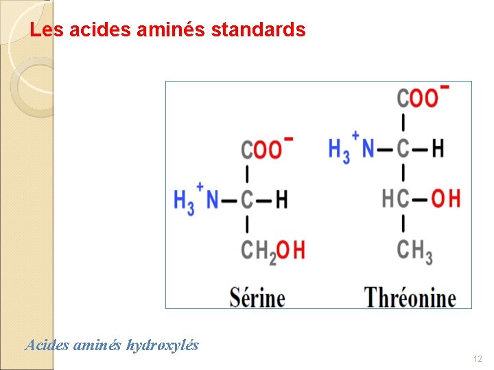 Les acides aminés standards Acides aminés hydroxylés 12 