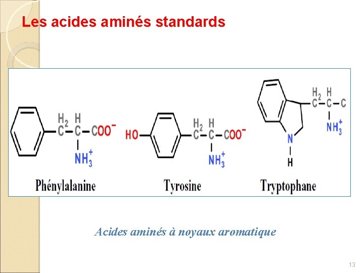 Les acides aminés standards Acides aminés à noyaux aromatique 13 