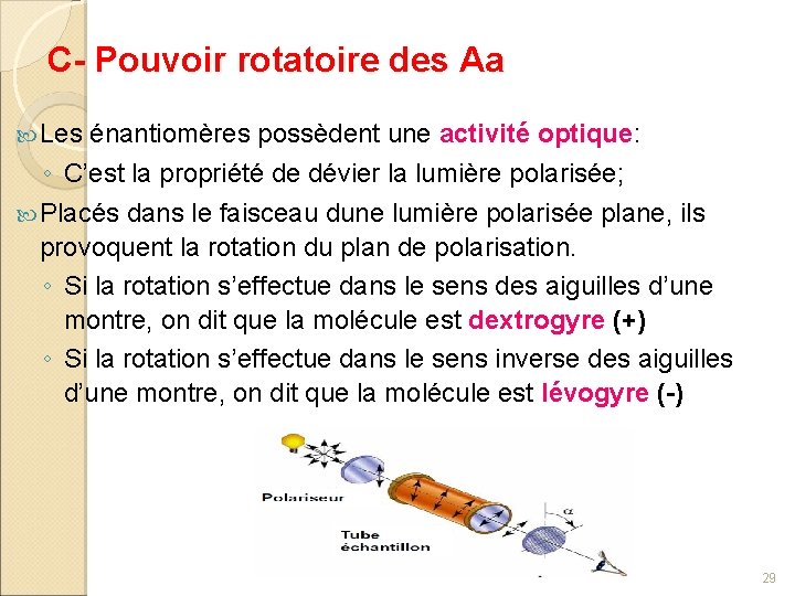 C- Pouvoir rotatoire des Aa Les énantiomères possèdent une activité optique: ◦ C’est la