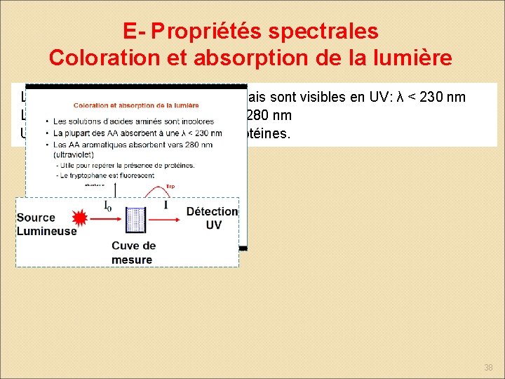 E- Propriétés spectrales Coloration et absorption de la lumière Les solutions d’Aa sont incolores,